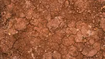 Stanovení původní teploty vypalování archeologické spálené červené hlíny pomocí dilatometrie