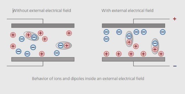 Illustration comparing behavior of ions and dipoles with and without an external electrical field, highlighting charge distribution.