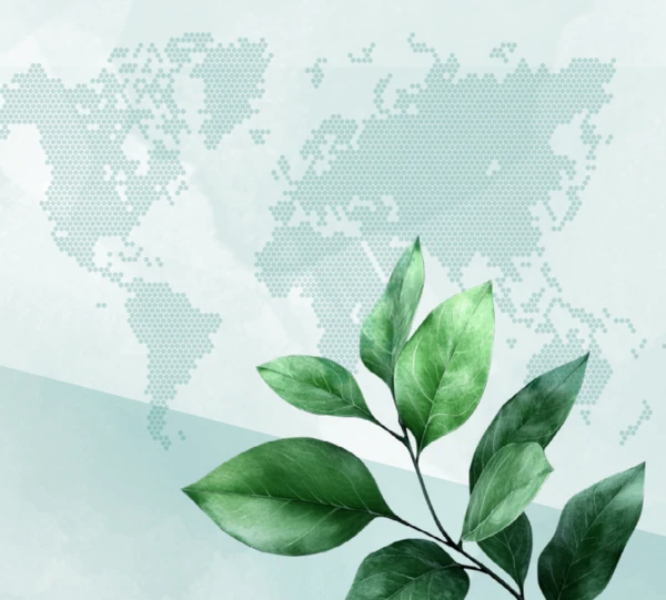 A transparent globe enveloped in green leaves, surrounded by icons representing sustainability, like water conservation and eco-friendly practices.