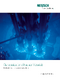 Characterization of Nuclear Materials