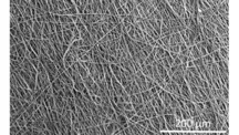 Caractérisation des propriétés mécaniques de non-tissés en fibres de PCL obtenus par électrofilage à l'aide du DMA 303 Eplexor