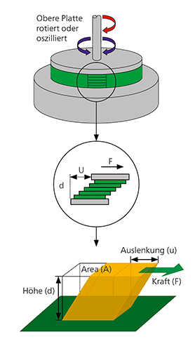 Rotationsoszillation einer Probe zwischen Kegel und Platte zur Messung der Viskosität in der Rheologie.