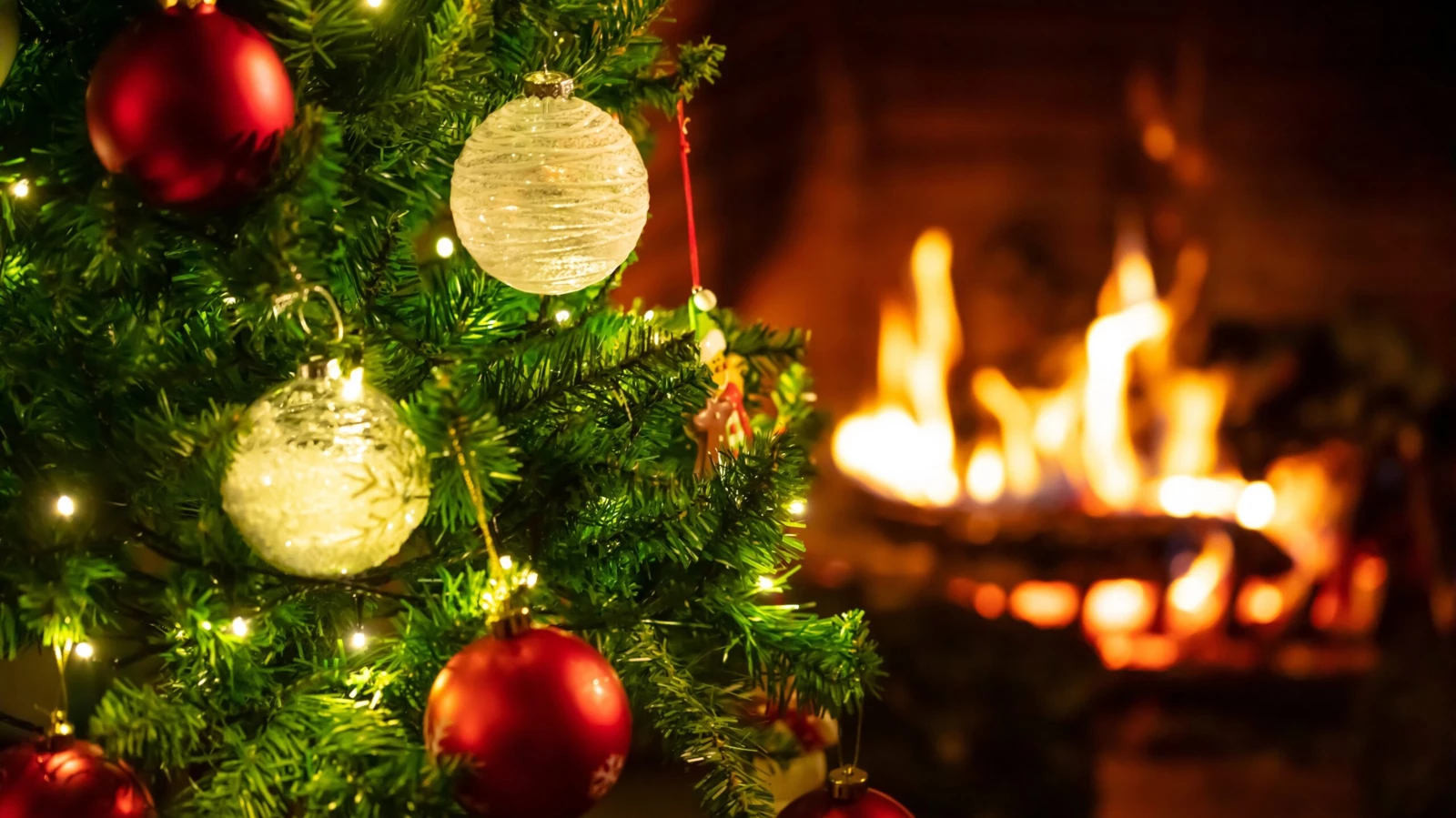Advent, Advent, the Christmas Tree’s on Fire – NETZSCH Can Help Prevent ...
