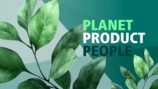 NETZSCH gráfico de informe de sostenibilidad que destaca "PLANETA, PRODUCTO, GENTE" con hojas verdes sobre un fondo texturizado.